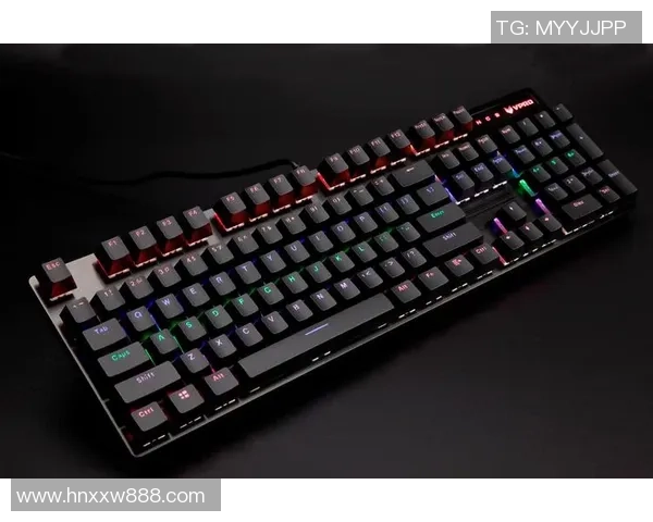 提升游戏体验的机械键盘推荐助你在英雄联盟中称霸全场